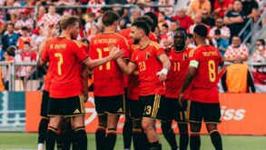 لاعب منتخب بلجيكا زينو ديباست خلال مباراة